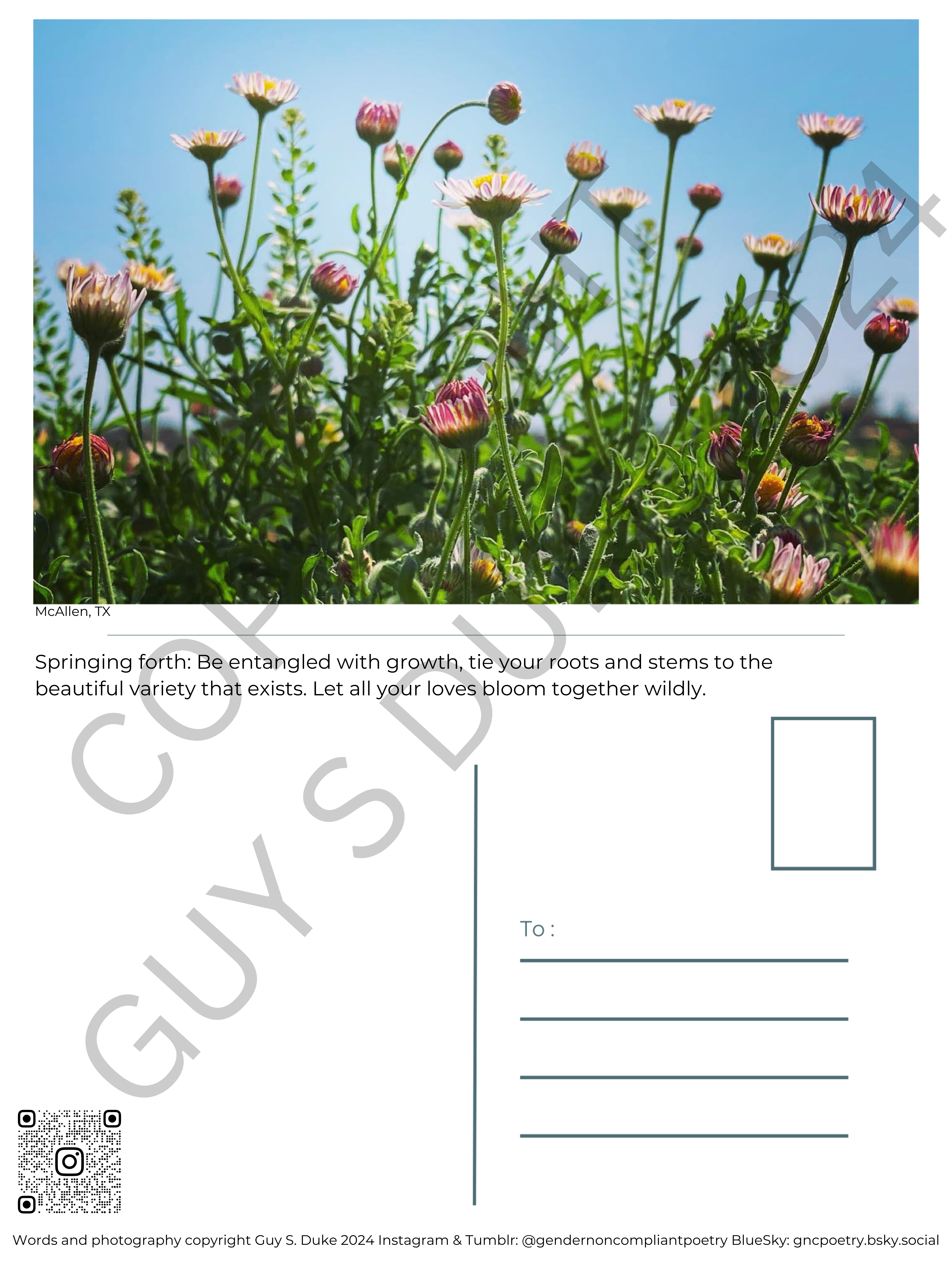 Postcard featuring pink and yellow spring flowers and a vivid blue sky behind them. Below the image reads: McAllen, TX Below this, on what would be the reverse side, it reads: Springing forth: Be entangled with growth, tie your roots and stems to the beautiful variety that exists. Let all your loves bloom together wildly. Below this, on the left half, is space for writing, on the right is a spot for a stamp and lines for a mailing address. Below the writing space on the left is a QR code directing to the instagram handle @gendernoncompliantpoetry. At the bottom reads: Words and photography copyright Guy S. Duke 2024 Instagram & Tumblr: @gendernoncompliantpoetry BlueSky: gncpoetry.bsky.social