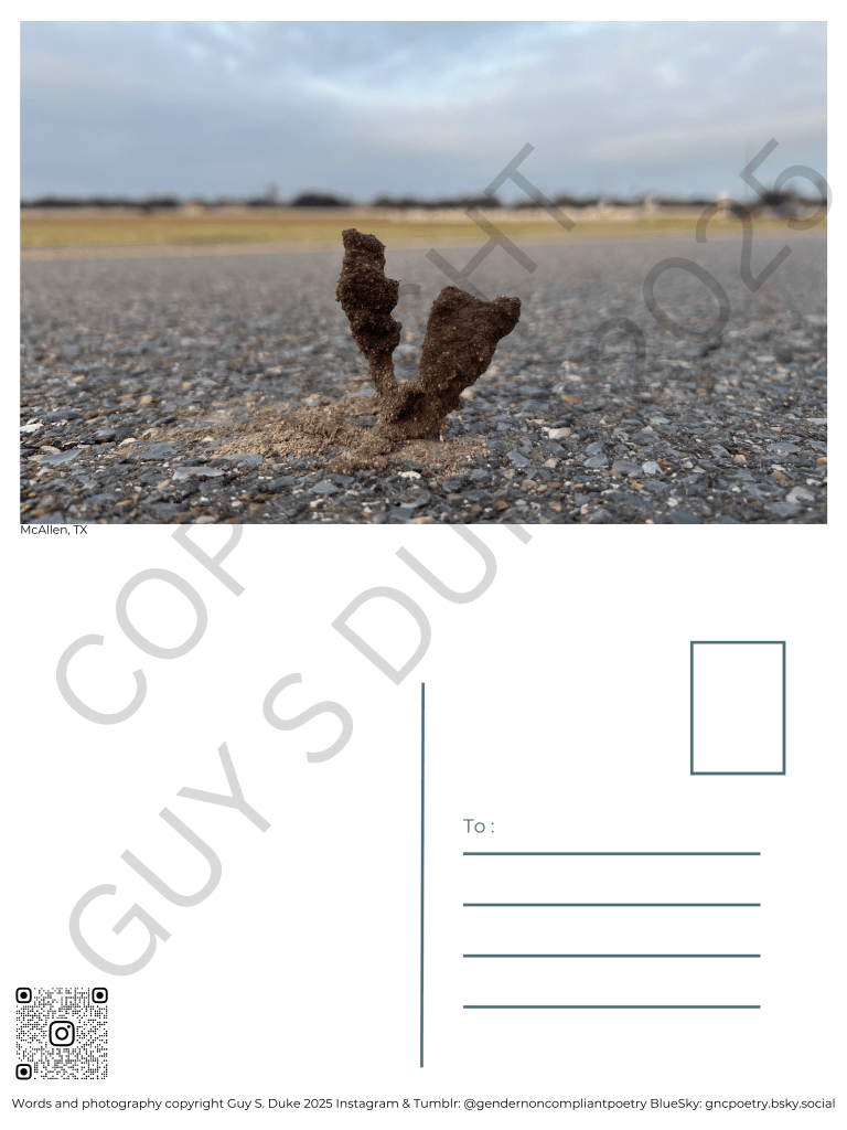 Postcard featuring a strange and small sand formation on a sidewalk. Below this, on the left half, is space for writing, on the right is a spot for a stamp and lines for a mailing address. Below the writing space on the left is a QR code directing to the instagram handle @gendernoncompliantpoetry. At the bottom reads: Words and photography copyright Guy S. Duke 2025 Instagram & Tumblr: @gendernoncompliantpoetry BlueSky: gncpoetry.bsky.social