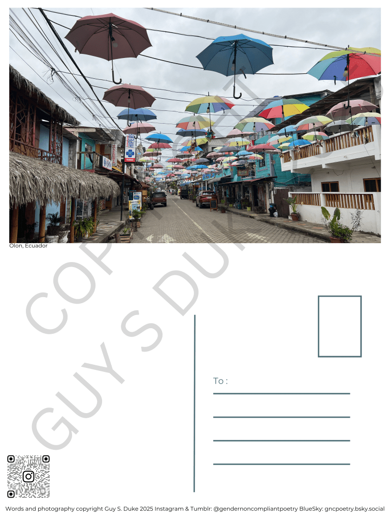 Postcard featuring colorful umbrellas hanging above a brick street. Below this, on the left half, is space for writing, on the right is a spot for a stamp and lines for a mailing address. Below the writing space on the left is a QR code directing to the instagram handle @gendernoncompliantpoetry. At the bottom reads: Words and photography copyright Guy S. Duke 2025 Instagram & Tumblr: @gendernoncompliantpoetry BlueSky: gncpoetry.bsky.social